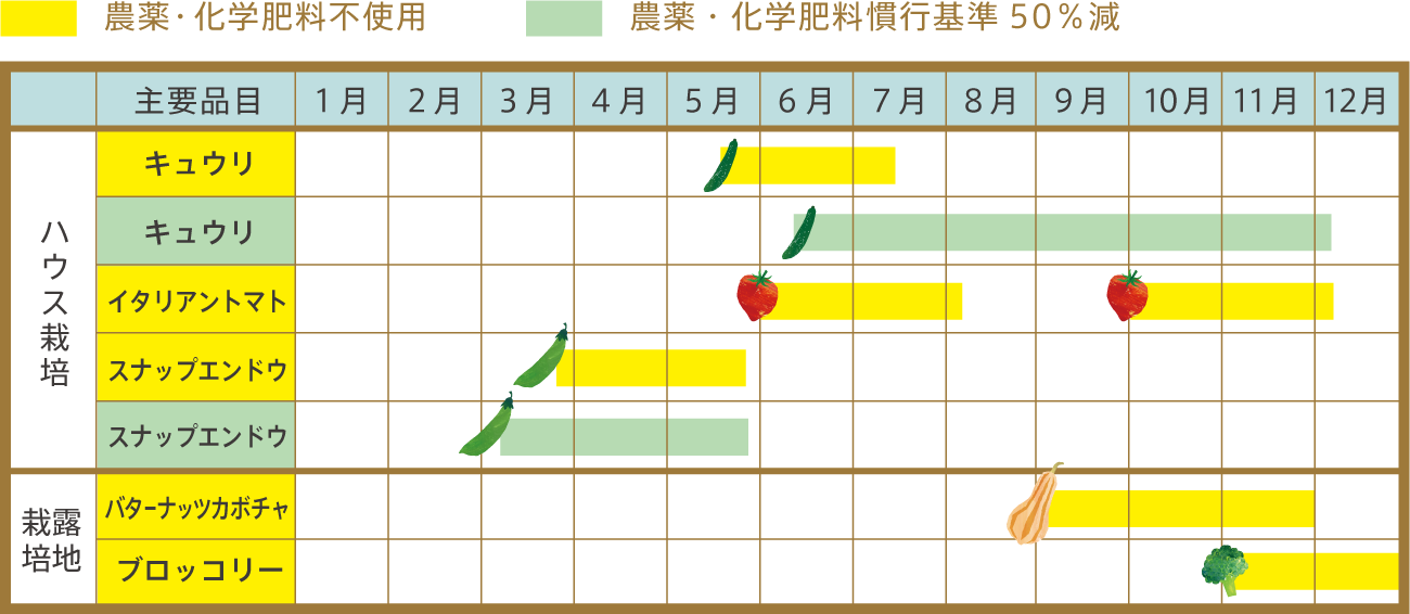 みなもの畑年間栽培野菜一覧