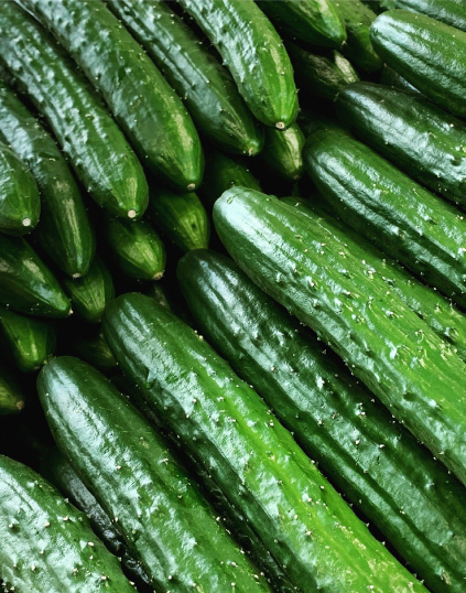 きゅうり