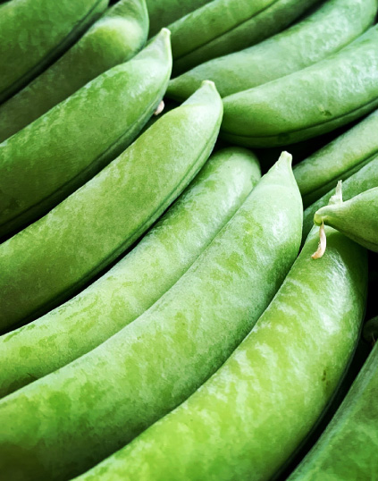 スナップエンドウ