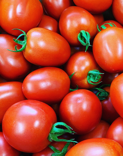 イタリアントマト