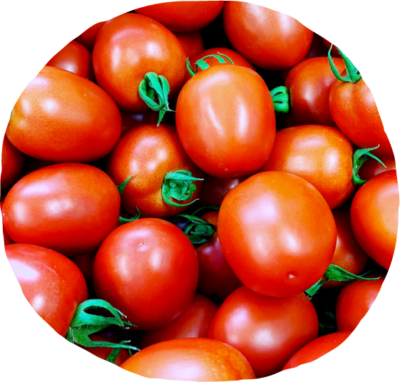 イタリアントマト